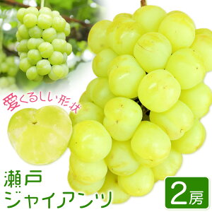 yӂ邳Ɣ[Łzy2025Ns\z˃WCAc 2[ (1[480gȏ) v1kg ϔ ЎRs2025N9{-10{oׁtR }s Ԃǂ }XJbg ʕ 嗱 Ȃ