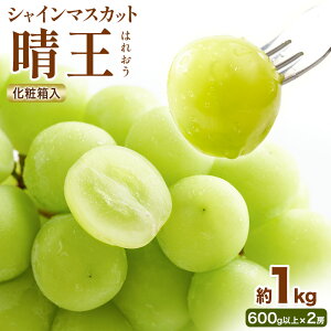 yӂ邳Ɣ[Łzy2025Ns\zVC}XJbg  ͂ꂨ 2[(1[600gȏ) 1kg ϔ ЎRs2025N8{-10{oׁtR }s  Ԃǂ }XJbg 