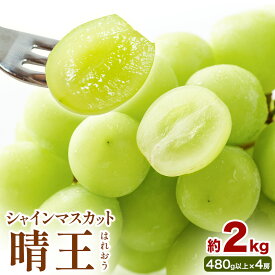 【ふるさと納税】【2026年先行予約】シャインマスカット 晴王 はれおう 4房(1房480g以上) 約2kg 株式会社山博《2026年8月下旬-10月下旬頃出荷》岡山県 笠岡市 晴王 ぶどう マスカット 大粒 フルーツ 秀品 旬 果物 贈り物 ギフト 送料無料【配送不可地域あり】