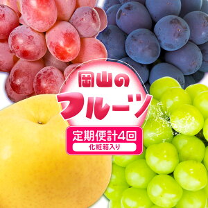 yӂ邳Ɣ[Łzy4ցzԂǂ  R̃t[c 4R[X RY VC}XJbg  j[sI[l   ЎRs9{-12oׁtR }