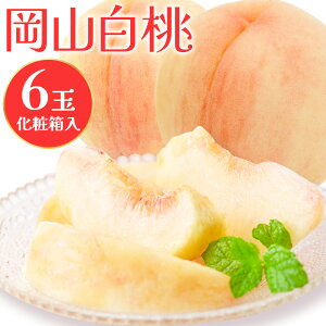 yӂ邳Ɣ[Łzy2026Ns\z 6(1.6kgȏ) ЎR ({)s2026N7{]8{oׁtR }s   t[c { ʕ Y RY  ① ϔ