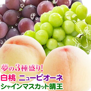 yӂ邳Ɣ[Łz Ԃǂ l R 2(1220gȏ) j[sI[l1[(1[480gȏ) VC}XJbg  1[(1[480gȏ) ϔ ЎRs7{-8{oׁtR 