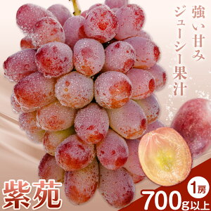 yӂ邳Ɣ[ŁzԂǂ   t[c 700gȏ 1[ ϔ ЎRs2025N10{-11{oׁtR }s  uhE ʕ { Y RYyzsn悠