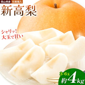 【ふるさと納税】梨 岡山県産 新高梨 約4kg 3~6玉 株式会社山博《9月下旬-11月上旬頃出荷》新高 フルーツ 化粧箱入り 岡山県 笠岡市 送料無料