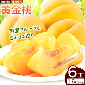 yӂ邳Ɣ[Łz RY  6 1.6kgȏ ЎRs8{-9{oׁt t[c ϔ R }s 