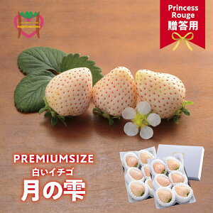 �y�ӂ邳�Ɣ[�Łz�����킹�͂��邢�����_��HappyComeCome�̑����p ���������[���̂������[PREMIUM SIZE �s12�����{-3�����{���o�ׁt � ������ �X�g���x���[