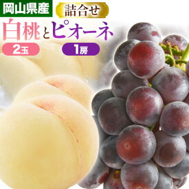 【ふるさと納税】【2026年発送先行予約】岡山産白桃とピオーネの詰合わせ もも 桃 白桃 葡萄 ブドウ ぶどう ピオーネ フルーツ セット 《2026年7月中旬-8月上旬頃出荷》 晴れの国おかやま館 フルーツ 果物 果実 岡山県 笠岡市