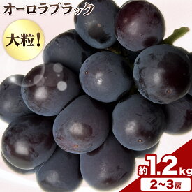 【ふるさと納税】【2027年先行予約】岡山県産 オーロラブラック 2～3房 約 1.2kg 《2027年9月上旬-9月下旬頃出荷》 岡山県 笠岡市 巨峰 ぶどう 葡萄 果物 フルーツ【配送不可地域あり】