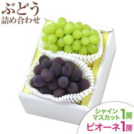 【ふるさと納税】【2026年先行予約】シャインマスカット・ピオーネ詰め合わせ 約1.0kg マスカット 葡萄 ブドウ ぶどう ピオーネ フルーツ セット 晴れの国おかやま館 《2026年8月下旬-10月下旬頃出荷》 フルーツ 果物 果実 岡山県 笠岡市
