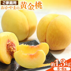 【ふるさと納税】ご家庭用 おかやまの黄金桃 選べる内容量 約900g〜約1.8kg 先行予約 《2025年8月下旬-9月中旬頃出荷》 桃 黄桃 黄金桃 晴れの国おかやま館 フルーツ 果物 果実 岡山県 笠岡市