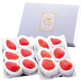 【ふるさと納税】しあわせ届けるいちご農園HappyComeComeのいちご4品種スペシャルセット　食べ比べ 《12月中旬-3月下旬頃出荷》 苺 いちご ストロベリー