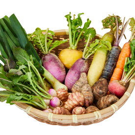 【ふるさと納税】季節の旬野菜 10品 おまかせセット（農薬・化学肥料不使用） A-229《45日以内に出荷予定(土日祝除く)》