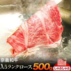 yӂ邳Ɣ[Łzދ`a A5N[X oC[߁I Iׂ Ԃԗp Ăp 500g  Vs30ȓɏoח\(yjtR }s a   A5