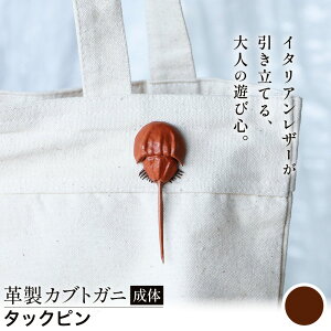 yӂ邳Ɣ[ŁzU[ v JugKj  ^bNs u[` v Iׂ 5F JS stage s30ȓɏoח\(yj)tR }s nhCh t@bV C^A