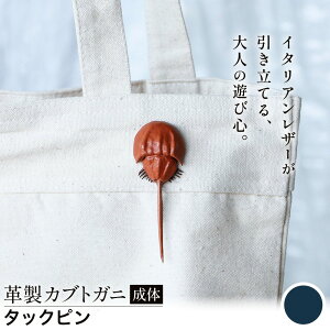 yӂ邳Ɣ[ŁzU[ v JugKj  ^bNs u[` v Iׂ 5F JS stage s30ȓɏoח\(yj)tR }s nhCh t@bV C^A