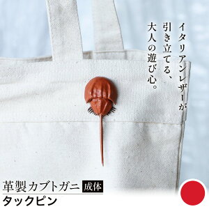 yӂ邳Ɣ[ŁzU[ v JugKj  ^bNs u[` v Iׂ 5F JS stage s30ȓɏoח\(yj)tR }s nhCh t@bV C^A