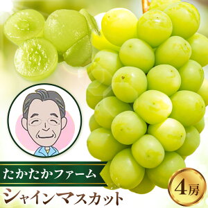 yӂ邳Ɣ[ŁzԂǂ VC}XJbg }XJbg 2[ 1kg 4[ 2kg s9{-9{oׁt t@[ uhE  }XJbg ʕ t[c Mtg R }s