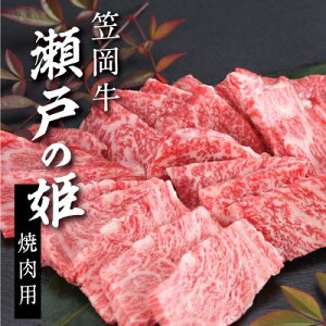 yӂ邳Ɣ[Łz˂̕Piēpj 450g  ē  BBQs45ȓɏoח\(yj)t