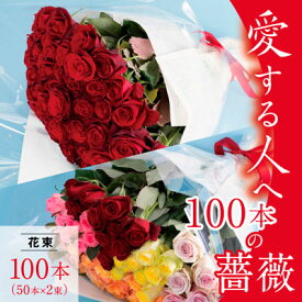 【ふるさと納税】 愛する人へ「100本の薔薇」≪10月上旬-5月中旬頃発送予定≫