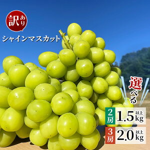 yӂ邳Ɣ[Łz󂠂 s\ 햳 Ԃǂ Ȃ ʕ t[c uhE y󂠂zVC}XJbg Iׂ eʁy2026N10{`11{\zîƁEԂǂH[j