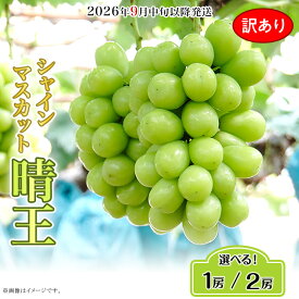【ふるさと納税】訳あり 果物 シャインマスカット 晴王 大粒 岡山県産 選べる 1房 700g以上 2房 1.2kg以上 ja岡山 皮ごと 種なし ぶどう 葡萄 フルーツ 国産 ブドウ くだもの 先行予約【2026年9月中旬～10月下旬発送予定】（いばら愛菜館）