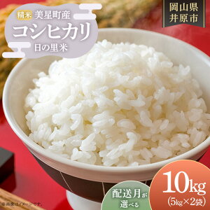 yӂ邳Ɣ[ŁzVė\ ߘa7NY  10kg RVqJ     Iׂ z Y RVqJ ̗  5kg×2