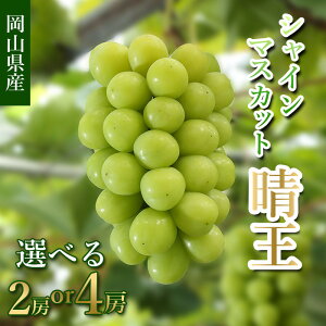 yӂ邳Ɣ[ŁzVC}XJbg  Ԃǂ  uhE 햳 ʕ XC[c t[c Mtg fU[g { Iׂ 2[ 4[