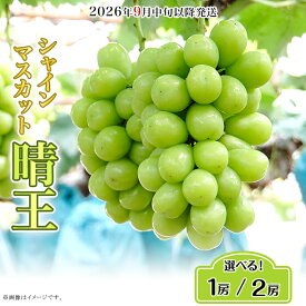 【ふるさと納税】果物 シャインマスカット 晴王 大粒 岡山県産 選べる 1房 650g以上 2房 1.2kg以上 ja岡山 皮ごと 種なし ぶどう 葡萄 フルーツ【2026年9月中旬～10月下旬発送予定】（いばら愛菜館）