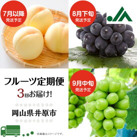【ふるさと納税】フルーツ 定期便 年3回 2026先行予約 岡山 シャインマスカット 晴王 黒ぶどう 白桃 旬 果物 岡山県産 ブドウ もも くだもの お楽しみ定期便