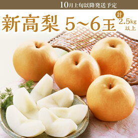 【ふるさと納税】フルーツ先行予約 果物 梨 岡山県産 なし 新高梨 2.5kg 5～6玉 にいたか 旬 くだもの 74-21 新高梨 5～6玉（2.5kg以上）【2026年10月上旬～下旬発送予定】