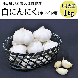 yӂ邳Ɣ[ŁzA-30ɂɂ(L)1kg