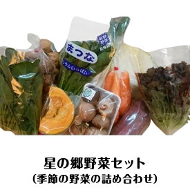 【ふるさと納税】野菜セット A-37　星の郷野菜セット
