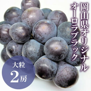 �y�ӂ邳�Ɣ[�Łz���R���Y �Ԃǂ� ���� �u�h�E �햳���Ԃǂ� �I�[�����u���b�N 2�[ �ʕ� �X�C�[�c �t���[�c ������ �M�t�g �����p �f�U�[�g �{ �I�[�����u���b�N 2�[(1�[480g�ȏ�) ���ϔ�