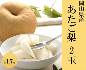 yӂ邳Ɣ[ŁzRY  Ȃ   ʕ XC[c t[c  Mtg p fU[g {  2ʁi1.7kgjϔ