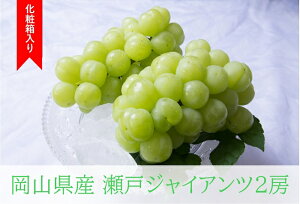 yӂ邳Ɣ[ŁzRY Ԃǂ  uhE 햳Ԃǂ ˃WCAc 2[ ʕ XC[c t[c  Mtg p fU[g { ˃WCAc 2[(1[480gȏ) 1kg 
