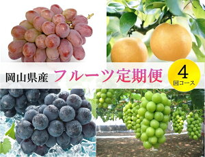 yӂ邳Ɣ[ŁzRY ʕ XC[c t[c  4  Ԃǂ uhE  Ȃ j[sI[l VC}XJbg     fU[g { RY t[c