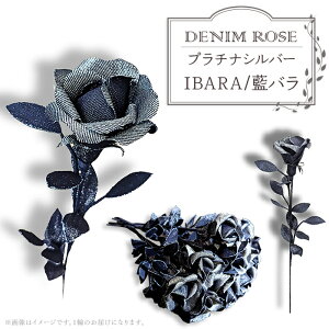 yӂ邳Ɣ[Łzo ΂ KN fj 䌴fj v[g LO a  j  Mtg Ԍt Ȃ  DENIM@ROSE - IBARA/o - v`iVo[