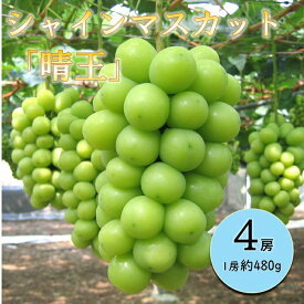 【ふるさと納税】岡山県産 ぶどう 葡萄 ブドウ 種無しぶどう シャインマスカット 晴王 シャインマスカット晴王 4房 果物 スイーツ フルーツ お取り寄せ ギフト 贈答用 デザート 旬 シャインマスカット「晴王」4房 (1房480g以上)【2026年8月下旬～10月下旬発送予定】