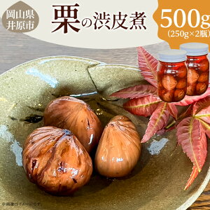 yӂ邳Ɣ[ŁzȈa 500g(250g×2r)