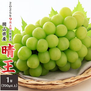 yӂ邳Ɣ[Łzs\ R VC}XJbg  Ԃǂ { ʕ t[c RY 햳 uhE  74-16 uv1[i700gȏjy2025N9{`10{\z