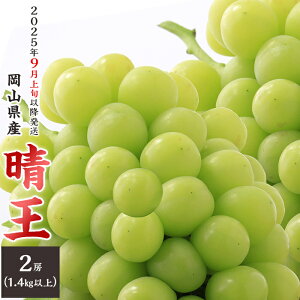 yӂ邳Ɣ[Łzs\ R VC}XJbg  Ԃǂ { ʕ t[c RY 햳 uhE  74-17 uv2[i1.4kgȏjy2025N9{`10{\z