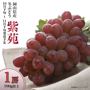 yӂ邳Ɣ[Łzt[cs\ R Ԃǂ 햳   1[ 700g ʕ Y uhE  74-20 ~Ԃǂuv1[i700gȏjy2025N10{`11{\z