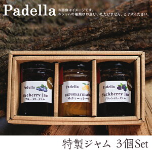 yӂ邳Ɣ[ŁzW3ZbgyPadellaipfbjz