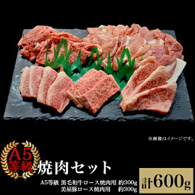 【ふるさと納税】肉 国産 牛肉 A5等級 黒毛和牛 焼肉 豚肉 ロース 焼肉セット600g（2～3人用）A5等級 黒毛和牛ロース 約300gと美星豚ロース 約300g 岡山県産