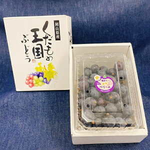 yӂ邳Ɣ[Łzx[A 800g o pbN  lC \ t[c  Ԃǂ  s\ ƒp RY R _F͔|Ԓsgp x[A 800g(o) ƒp