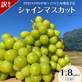 【ふるさと納税】訳あり 先行予約 種無し ぶどう 種なし 果物 フルーツ ブドウ 【訳あり】シャインマスカット 2房（1.8kg以上）【2025年10月中旬～11月上旬発送予定】（星のさと・ぶどう工房）