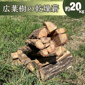 yӂ邳Ɣ[Łzd(Lt)@20kg(RLu)