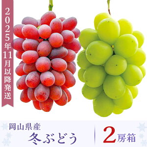 yӂ邳Ɣ[Łzs\ R VC}XJbg 햳 Ԃǂ }XJbg l 2[ 1.2kg ʕ t[c Y uhE  RY~Ԃǂ2[y2025N11ȍ~zi΂爤
