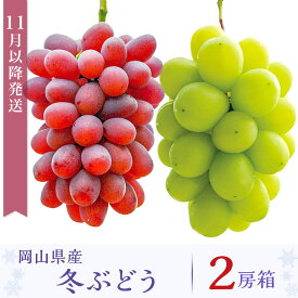 【ふるさと納税】先行予約 岡山 シャインマスカット 種無し ぶどう マスカット 詰合せ 2房 約1.2kg 果物 フルーツ 国産 ブドウ くだもの 岡山県産冬ぶどう2房【2026年11月以降発送】（いばら愛菜館）