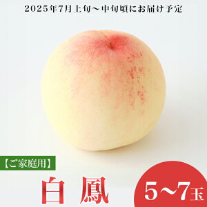 yӂ邳Ɣ[Łz R    R̓ P XC[c t[c ʕ  fU[g { ƒp 󂠂 yƒpzR P 5`7ʁy2026N7{珇z